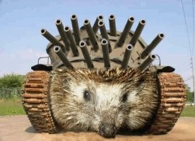 Смешные и познавательные картинки