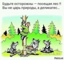Лед на реке под школьниками провалился, но на помощь к людям вовремя пришёл волк
