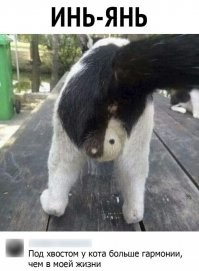 Смешные и познавательные картинки