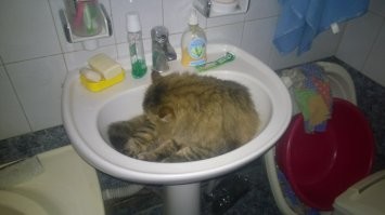 Смешные и познавательные картинки