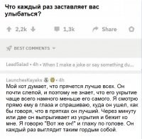 Кошки вообще мастера маскировки.
А как их скрывает тюль?! В жизни не догадаешься, что там котэ