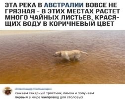 Судя по чаю в школьной столовой, туда уже давно такой провели.