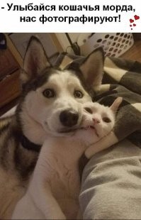 Кадры решают всё