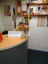 Кадры решают всё