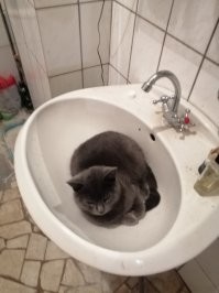 У меня такая же фигня