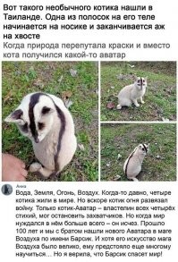 Смешные и познавательные картинки