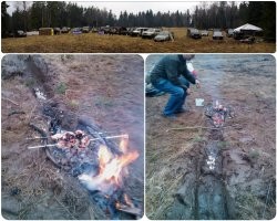 Смешные и познавательные картинки