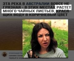 Комменты и диалоги из соцсетей: новая порция юмора и интересных наблюдений