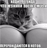 Смешные и познавательные картинки