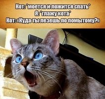 Прикольные картинки и другой юмор для понедельника!
