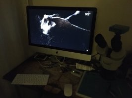 Это тебе мой друг и главное в следующий раз не шизди если ты не знаешь с кем говоришь .