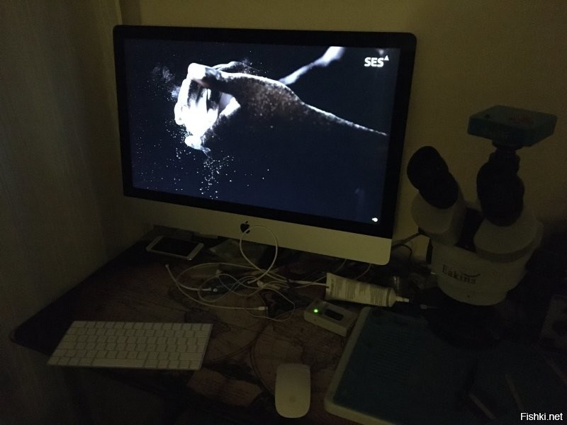 Это тебе мой друг и главное в следующий раз не шизди если ты не знаешь с кем говоришь .