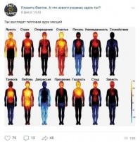 Негр разговаривает с белым:
- Я не понимаю, объясни мне, пожалуйста... Когда я родился, я был черным, вырос тоже черным, когда я загораю, я черный, когда мне жарко, я черный, и когда холодно - тоже черный, когда я болею, я черный, и когда умру - тоже буду черным... А вы, белые... Вот ты, когда родился, ты был розовым, когда ты загораешь - ты коричневый, когда тебе жарко - ты красный, а когда холодно - ты синий, когда ты болеешь, ты зеленый, а когда умрешь, ты будешь серым... И после всего этого вы имеете наглость называть нас цветными?