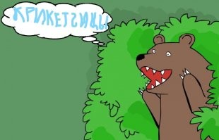 Женская сборная Австралии по крикету