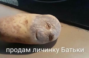 В Санкт-Петербурге пытались продать огрызок «карандаша Путина»