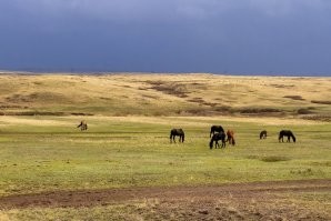 По просторам Казахстана