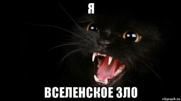 Смешные и познавательные картинки