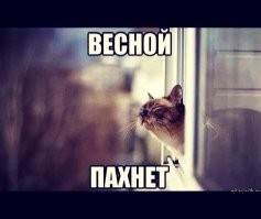 Смешные и познавательные картинки