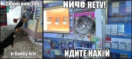 Японская собака, которая стала продавцом в киоске