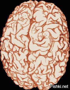 Солянка от 02.03.2021
