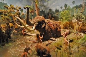 Когда шли, там тепло было.