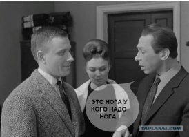 Смешные и познавательные картинки