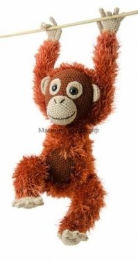 В Дагестане на чемпионате по дзюдо произошла массовая драка