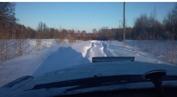 Веселые  картинки