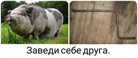 Картинки на поржать