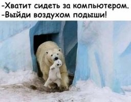 Знаменитые каналы Венеции пересохли из-за отливов