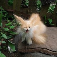 Вторничный каламбур из соц.сетей