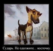 Образ собаки в демотиваторах