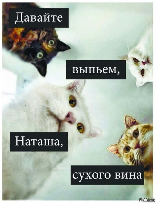 Смешные и познавательные картинки