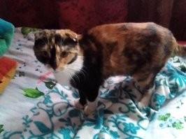 Заглавная на мою похожа)))