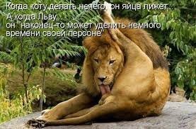 Способы защиты кузова автомобиля от сколов