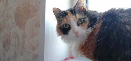 Естественно