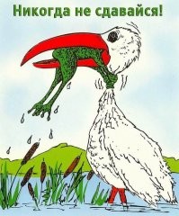 Неожиданный финал охоты птицы на лягушку