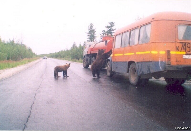 - Билетики приготовили.
