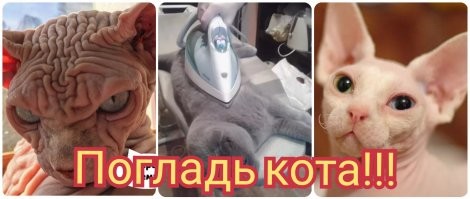 Скрины из соцсетей