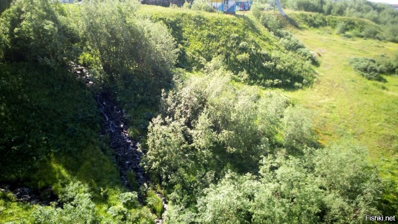 "Леденящие душу подъезды": фотопроект заброшенных жилищ Воркуты