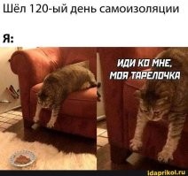 Демотиваторы, просто-демотиваторы или картинки в чёрном квадрате