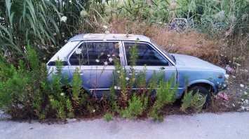 в 17 году был в Лефкаде (Греция) и мне кажется, что у них это норма или просто как украшение городка.