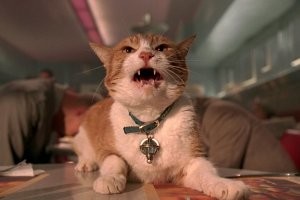 Намешалось