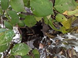 Стоп стоп...