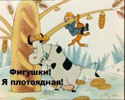 Коровы в Австралии.