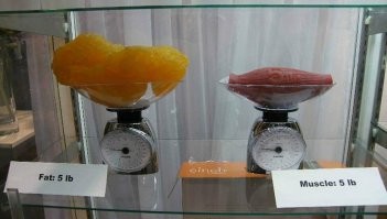 Тоже мне, Америку открыла