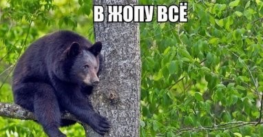 Топ-15 самых дорогих эскортниц России и СНГ