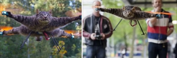 Демотиваторы, просто-демотиваторы или картинки в чёрном квадрате