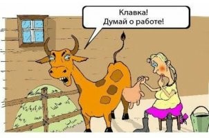 Смешные и познавательные картинки