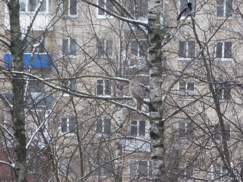 Во нашел )))